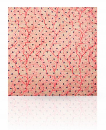 Палантин Женский S-TREE.DOTS/GOLD